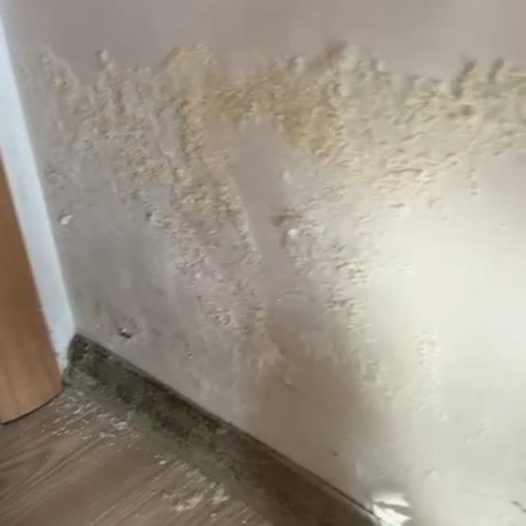 Sompo Sigorta Hasar Reddi Ve Yerinde Ekspertiz İsteği