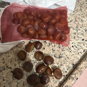 Yanıltıcı Lüks Kestane Gönderimi Ve Filizlenmiş Sağlıksız Ürün