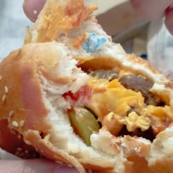 Ekmeğin İçinden Çıkan Plastik Parça Ve İlgisiz Müşteri Hizmetleri Nedeniyle 559 TL İade Talebi