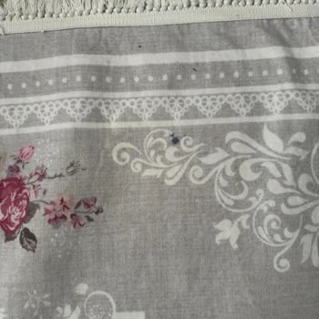 Nisa Halı Yıkama (İstanbul) Aşırı Ücret Ve Kalitesiz Hizmet