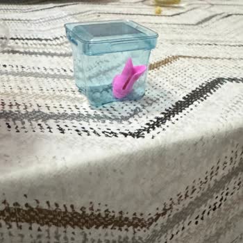 Carrefour Mağazasında Barbie Oyuncak Ayakkabısı Eksik