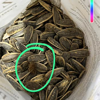 Ziya Efendi Cezerye Ve Kuruyemiş Özensiz Bir Üretim