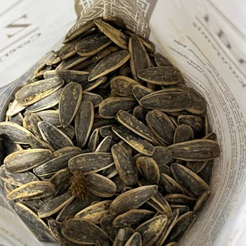 Ziya Efendi Cezerye Ve Kuruyemiş Özensiz Bir Üretim