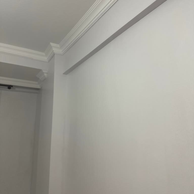 Katalogda Beyaz Gösterilen Boya Lila Çıktı, Mağaza Çözüm Sunmadı