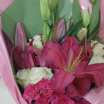 Kuru Ve Görüntüsü Uyuşmayan Çiçek Teslimatı, İletişimsizlik Ve Yeniden Gönderim Talebi