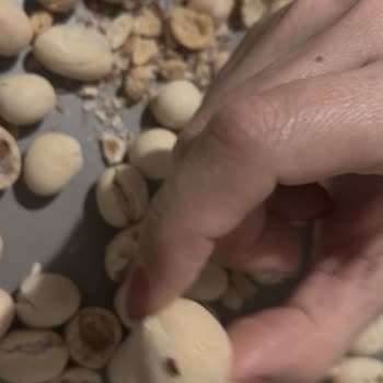 Trendyol Hızlı Market Böceklenmiş Kuruyemişlerde Gıda Güvenliği İhlali