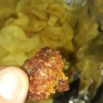 Lay’s Cips’inde Plastik Parça Bulunması Sağlık Endişesi Yaratıyor