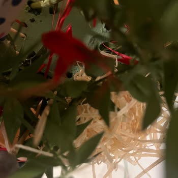 Taze Çiçek Siparişinde Gecikme Ve Eksik Ürün Nedeniyle Tam İade Talebi