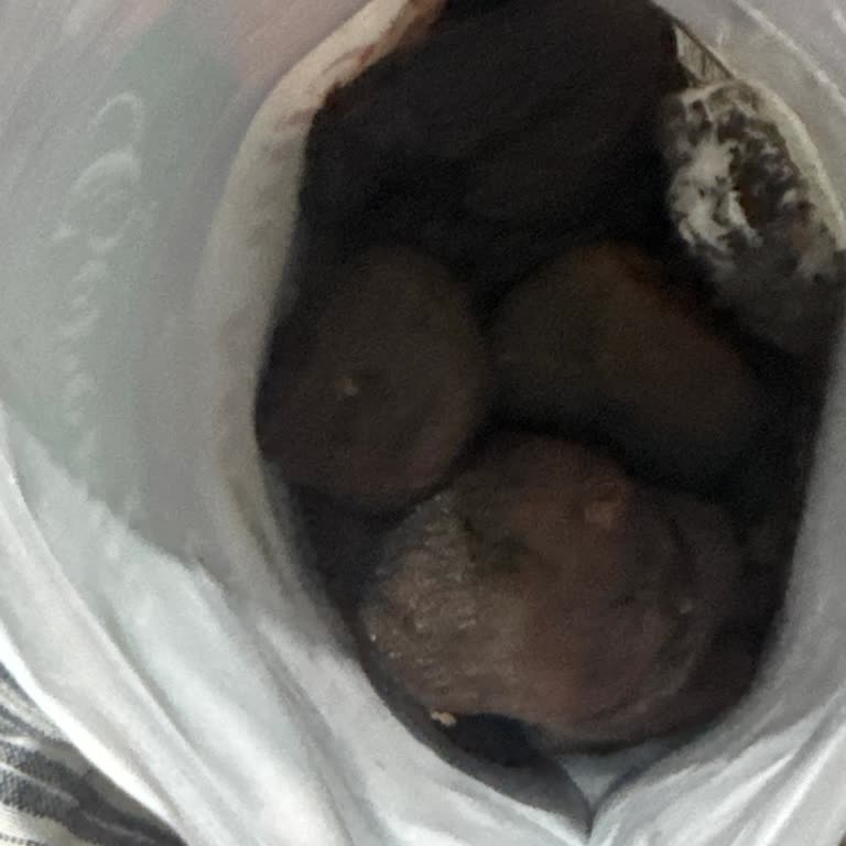 Mantar Ve Bozulmuş Çerezya Gün Kurusu: Sağlık Endişesi Ve İade Sorunu