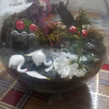 Çiçek Sepeti Teslimat Gecikmesi ve Yanıltıcı Ürün Görselleri