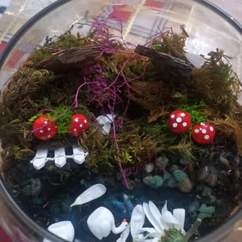 Çiçek Sepeti Teslimat Gecikmesi ve Yanıltıcı Ürün Görselleri