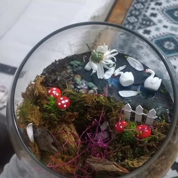 Çiçek Sepeti Teslimat Gecikmesi ve Yanıltıcı Ürün Görselleri