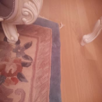 Mipo Telefonunda Ön Ekran Işığı Ve Bulanık Ön Kamera, Bursa’da Servis Yok