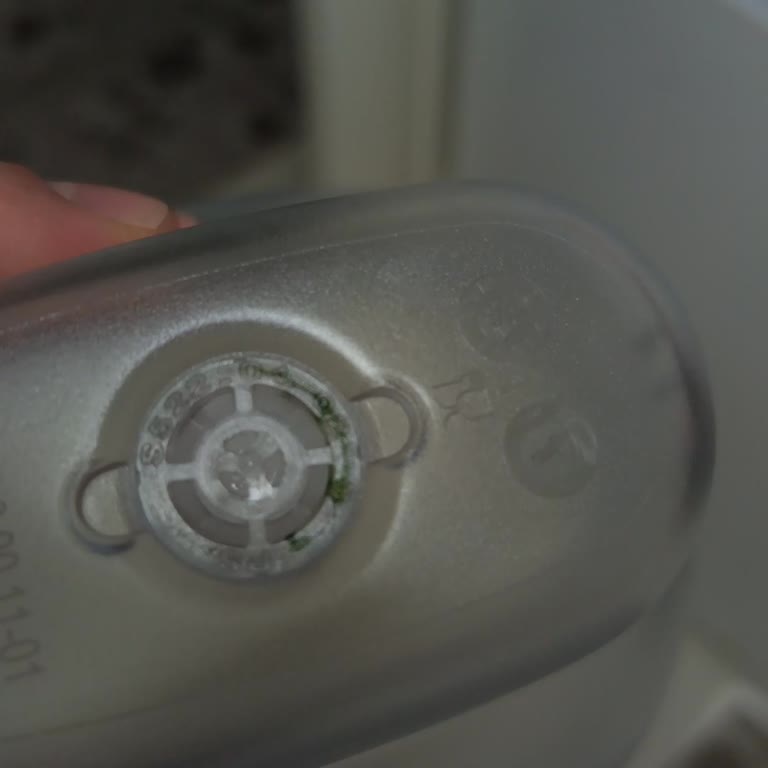 Brita Sürahisinde Yosunlaşma Hijyen Ve Sağlık Kaygısı