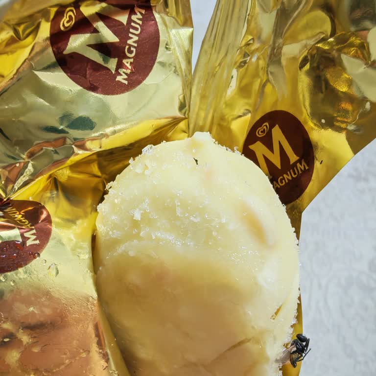 Magnum Dondurmasında Sinek Parçası Tespit Edildi