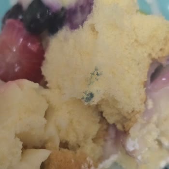 Zahire Pastanesi'nden Yeni Yıl Pastasında Mavi Küf Görüntüsü Sağlık Riski Ve İade Talebi
