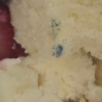 Zahire Pastanesi'nden Yeni Yıl Pastasında Mavi Küf Görüntüsü Sağlık Riski Ve İade Talebi