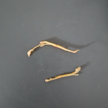 Superfresh Pizza King'de Sert Yabancı Parça Ve Gıda Güvenliği Endişesi