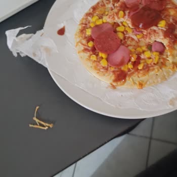 Superfresh Pizza King'de Sert Yabancı Parça Ve Gıda Güvenliği Endişesi