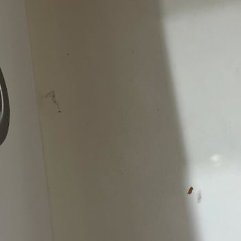 Milenyum İstanbul Bungalov'da Hem Hizmet Kalitesi Hem De Temizlik Açısından Hayal Kırıklığı Yaşadım