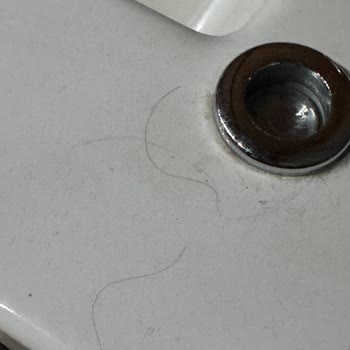 Milenyum İstanbul Bungalov'da Hem Hizmet Kalitesi Hem De Temizlik Açısından Hayal Kırıklığı Yaşadım