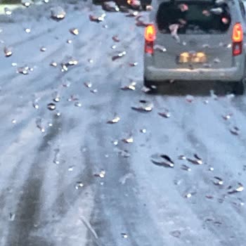 Gemlik’te Buzlanma Ve Trafik Lambası Eksikliği Güvenliği Tehlikeye Atıyor