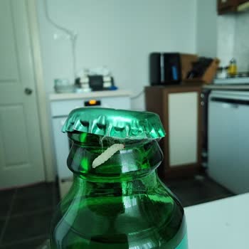 Kapağında Kurt Ve Örümcek Ağı Görülen Su Şişesi İçin Sağlık Ve Hijyen Şikayeti