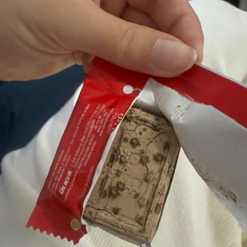 Son Kullanma Tarihi Geçmemiş Üründe Küflenmiş Çikolata Görüntüsü