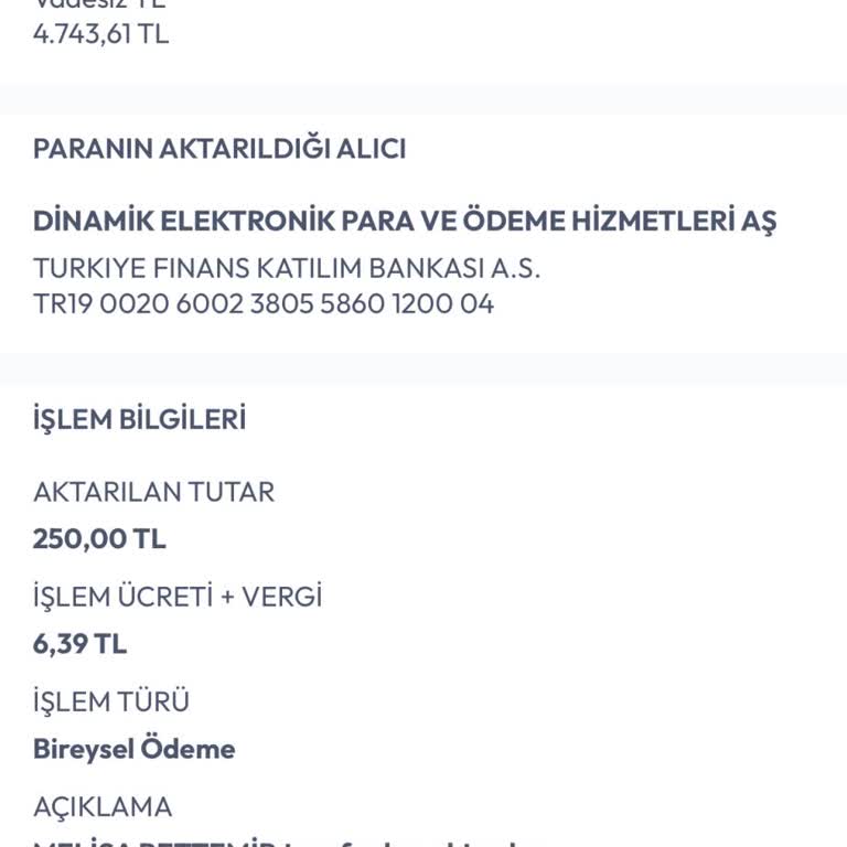 Dinamik Pay Hesabına Gönderilen 250 TL Yansımıyor, İletişim Kanalı Yok