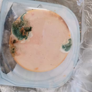 Namet Pilili Füme Ürünün Küflü Çıkması Gıda Güvenliği Tehlikesi