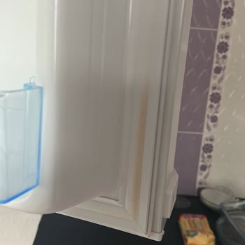 Dondurucu Kapak Sarılığı Olan Bosch Buzdolabının Değişim İsteği