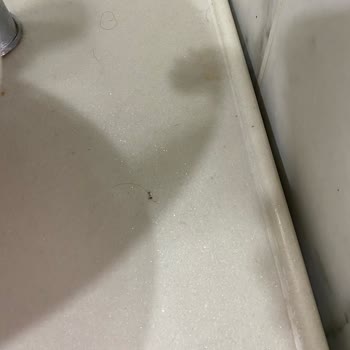 Otel Hijyeni Ve Güvenlik Sorunları Nedeniyle 12 Günlük Konaklama İadesi Talebi