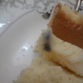 Küflü Yaş Pasta Gizlendi, Taze İddiası Sağlığı Tehlikeye Atıyor