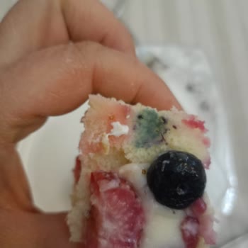 Küflü Yaş Pasta Gizlendi, Taze İddiası Sağlığı Tehlikeye Atıyor