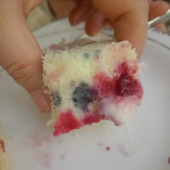 Küflü Yaş Pasta Gizlendi, Taze İddiası Sağlığı Tehlikeye Atıyor