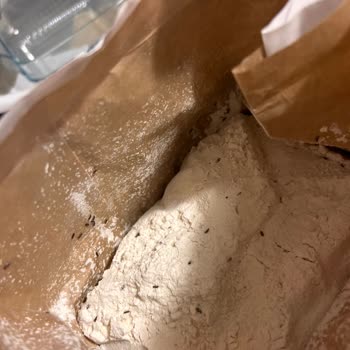 Eriş Un Paketi Açar Açmaz Unun İçinde Böcekler Olduğunu Fark Ettim