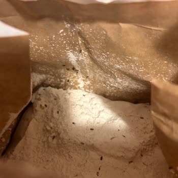 Eriş Un Paketi Açar Açmaz Unun İçinde Böcekler Olduğunu Fark Ettim