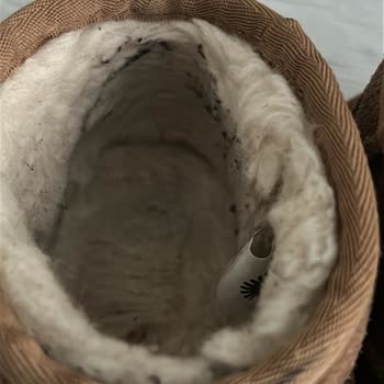 Ücretini Aldığına Rağmen Ugg Bot Bakımı Yapılmadı Ve Cevap Gelmedi