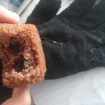 Kakaolu Kekte Kıl Bulunması Gıda Güvenliğini Sarsıyor