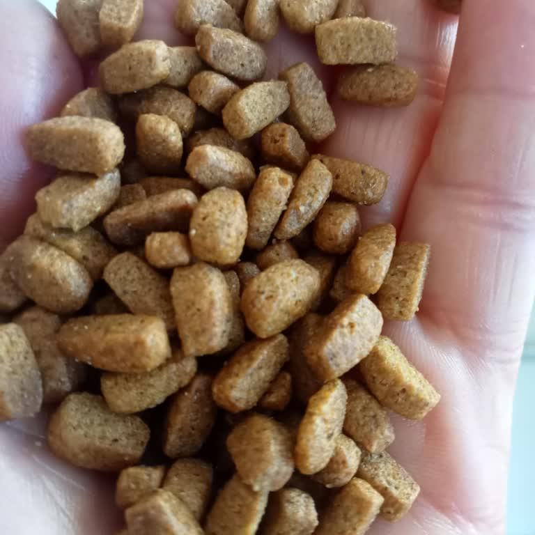 İdefix'ten Sahte Kedi Maması: Şikayet ve İade Talebi