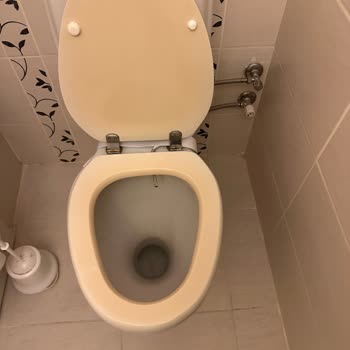 Jolly Tur’un Yanıltıcı Bilgileri Ve Hijyen Sorunlarıyla Korkunç Yılbaşı Turunu Şikayet Ediyorum