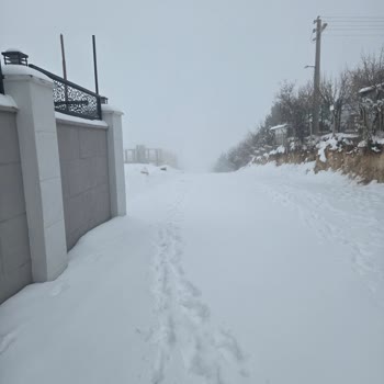 Yoğun Kar Kapattı Sokak, Belediye Yardımı Yok Ve Hasta Anne Sağlık Riski Altında