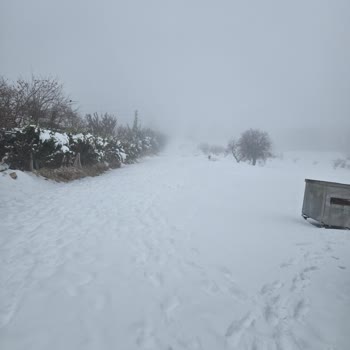 Yoğun Kar Kapattı Sokak, Belediye Yardımı Yok Ve Hasta Anne Sağlık Riski Altında