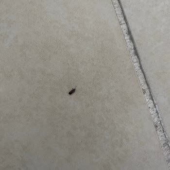 Afyon Neva Otel’de Soğuk Ve Eksik Oda Koşulları Nedeniyle Mağduriyet