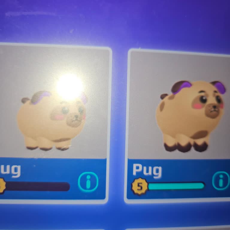 PK Xd (Playpkxd.com)  Pet Takasında Onaysız Çıkış Ve Kayıp