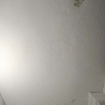 Polisan Perla Yarı Mat Silikonlu Boya Nedeniyle Küf Ve Nem Problemi