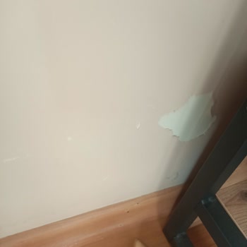 Polisan Perla Yarı Mat Silikonlu Boya Nedeniyle Küf Ve Nem Problemi