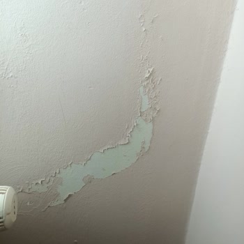 Polisan Perla Yarı Mat Silikonlu Boya Nedeniyle Küf Ve Nem Problemi