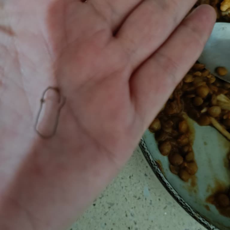 Duru Yeşil Mercimeğin İçinden Paslı Parça Çıktı