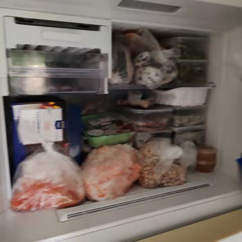 Yanlış Elektrik Kesintisi Buzdolabı Ürünlerini Bozdu, Akvaryum Balıklarını Öldürdü